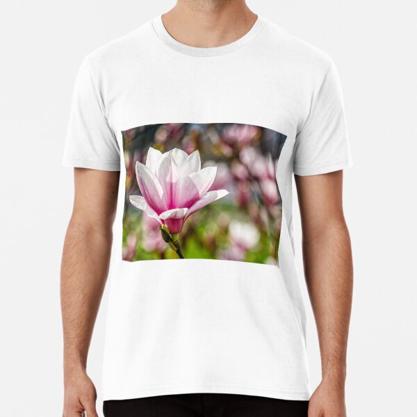 Magnolia flower blossom in springtime Premium T-Shirt