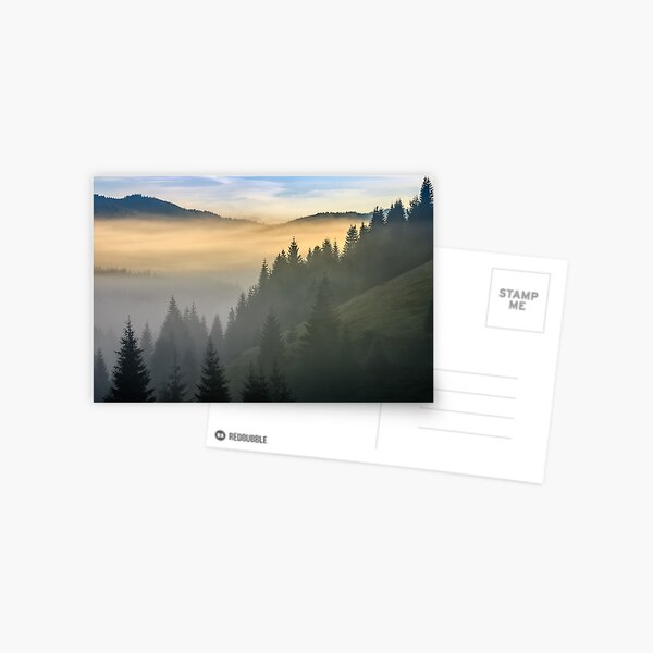 pine forest in fog at sunrise Postcard