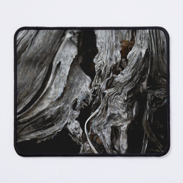 Item preview, D Lawson Photography Natural Abstract  designed and sold by Danielle Lawson.