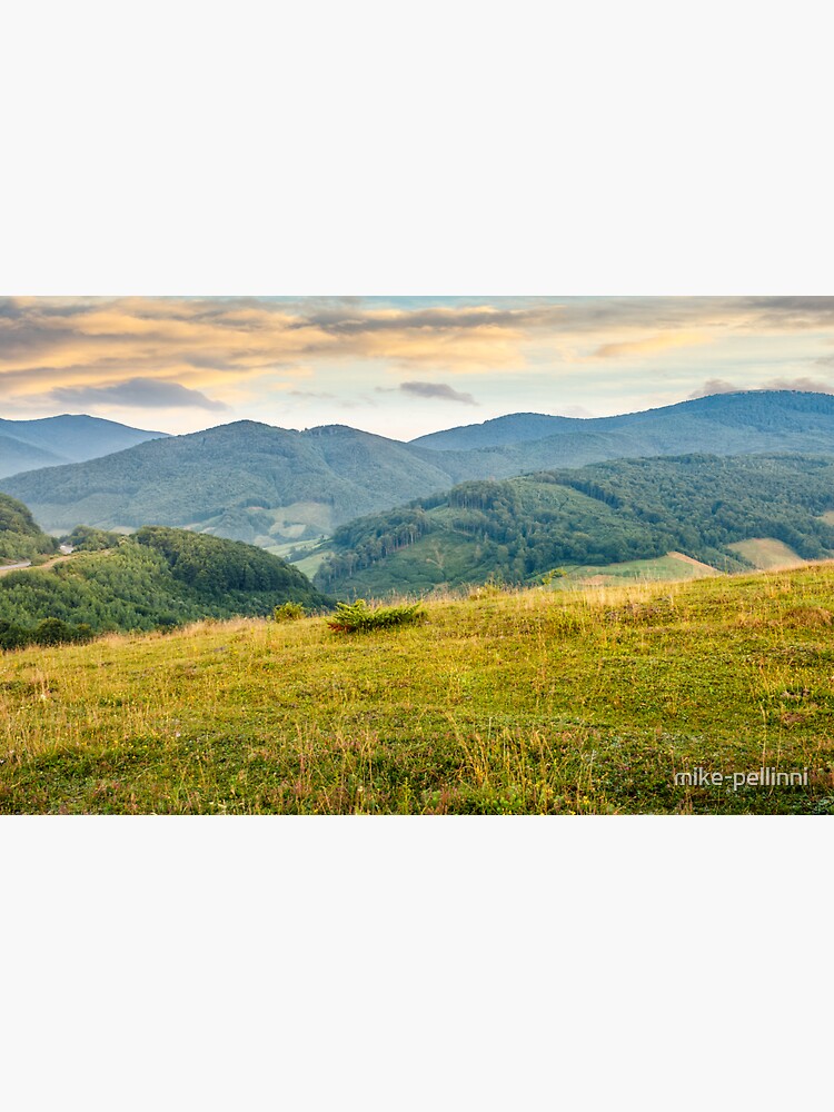 grassy meadow in mountains at sunrise by mike-pellinni