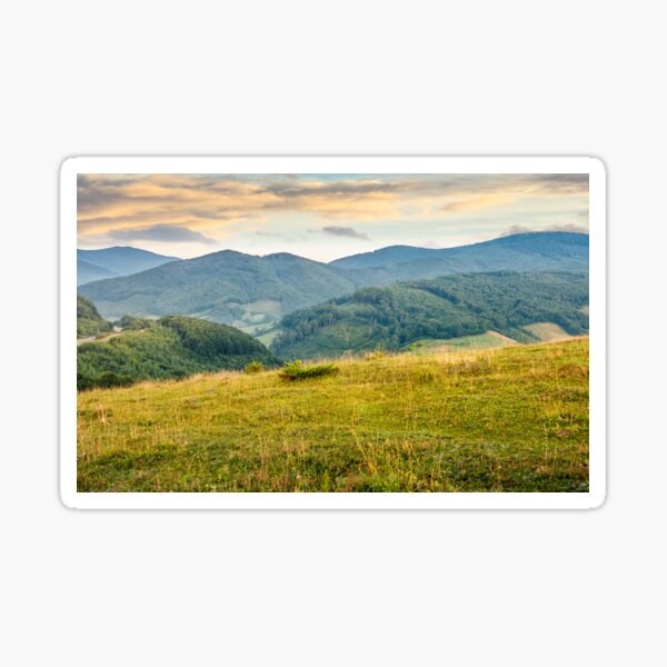 grassy meadow in mountains at sunrise Sticker