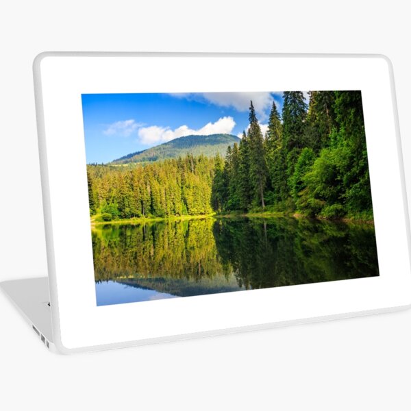 mountain lake among the forest Laptop Skin