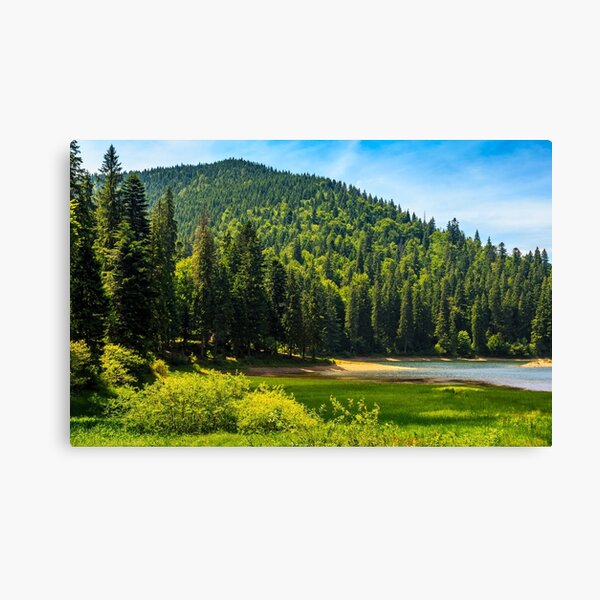 mountain lake among the forest Canvas Print