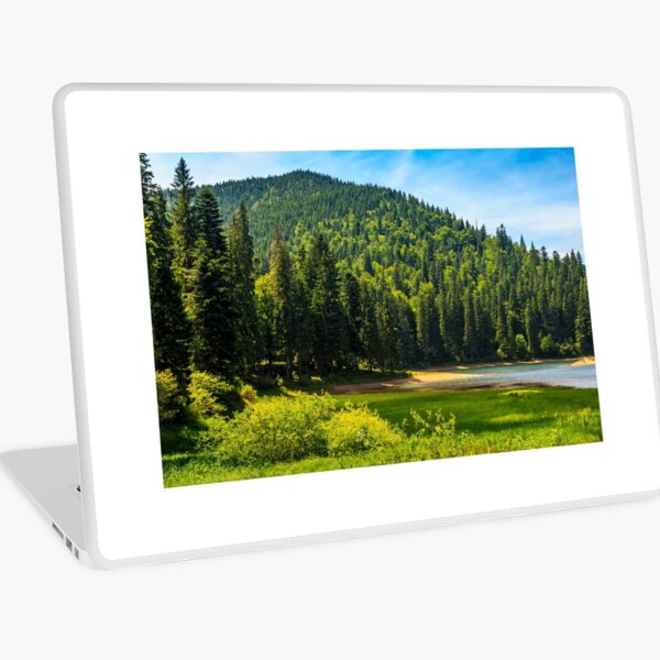 mountain lake among the forest Laptop Skin