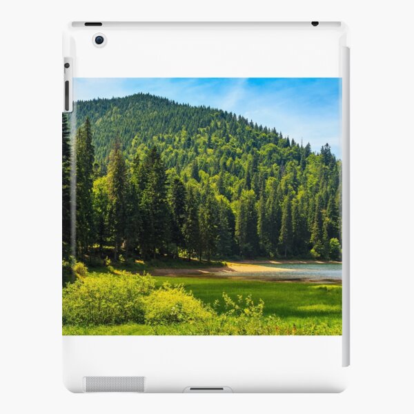 mountain lake among the forest iPad Snap Case