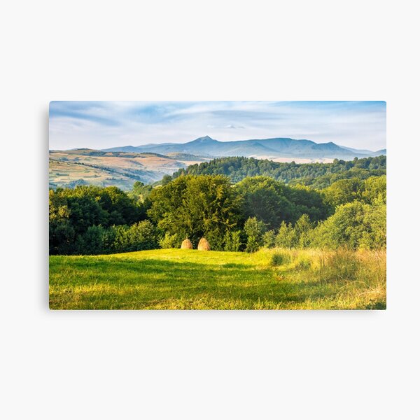 stacks of hay on the hill side Metal Print