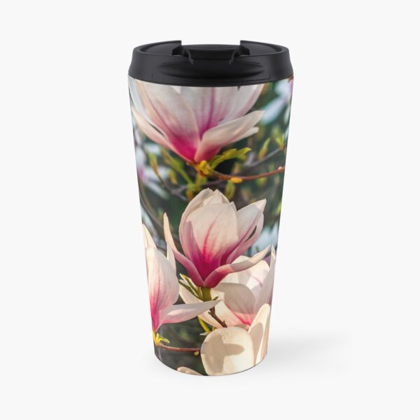 Magnolia flower blossom in spring Travel Mug