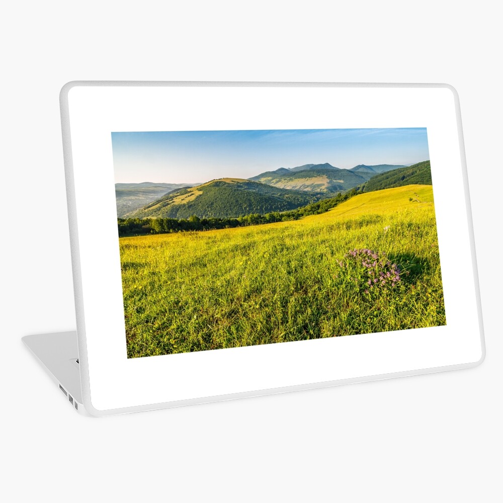 Item preview, Laptop Skin designed and sold by mike-pellinni.
