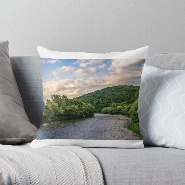 River among the forest in picturesque Carpathian mountains in summer Throw Pillow