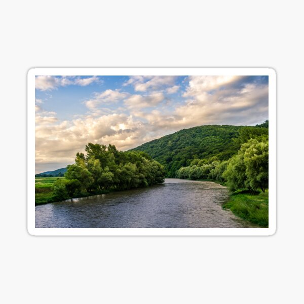River among the forest in picturesque Carpathian mountains in summer Sticker