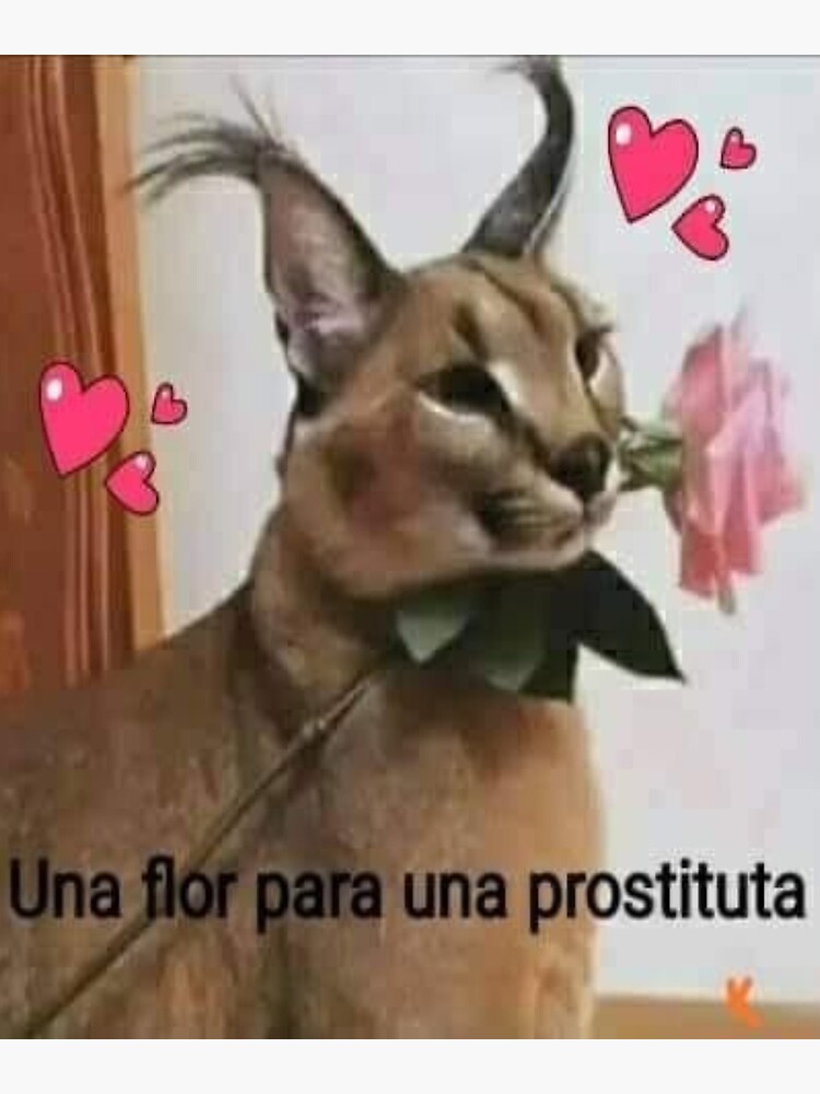 Lámina fotográfica for Sale con la obra «Gran Gato Floppa Meme» de momshow