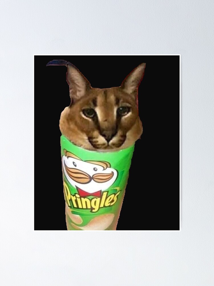 Big Floppa Meme Cat T-Shirt  Videos graciosos de animales