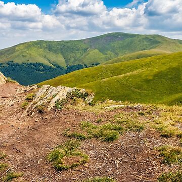 Artwork thumbnail, meadow with boulders in Carpathian mountains in summer by mike-pellinni
