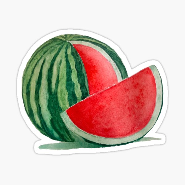 Watercolor Watermelon Sticker