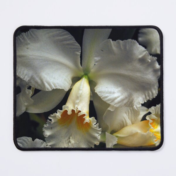 Item preview, White is ok designed and sold by treborbob.