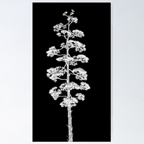 Item preview, Algave Flower designed and sold by hermosaman.
