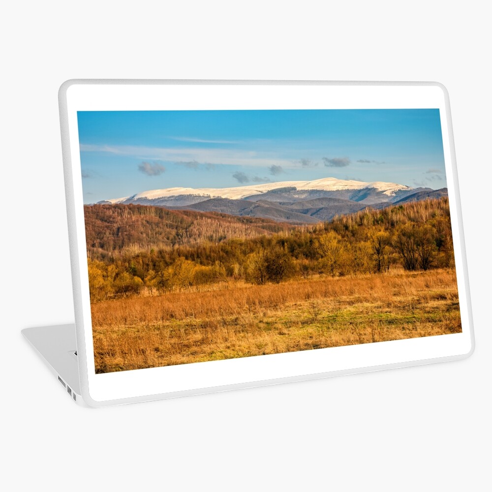 Item preview, Laptop Skin designed and sold by mike-pellinni.