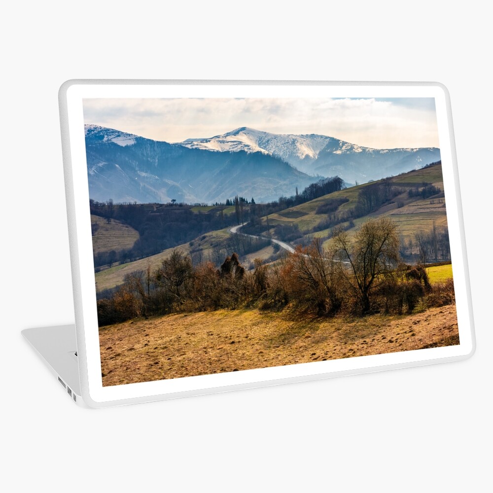Item preview, Laptop Skin designed and sold by mike-pellinni.