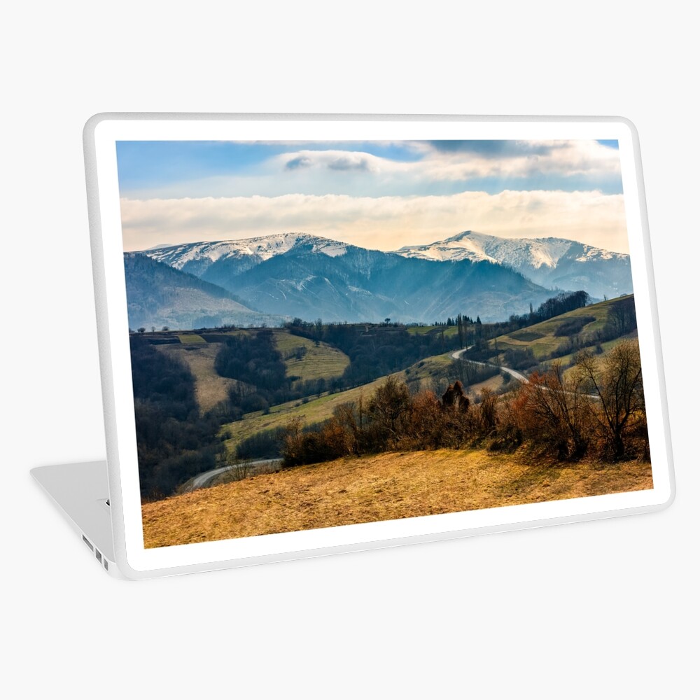 Item preview, Laptop Skin designed and sold by mike-pellinni.