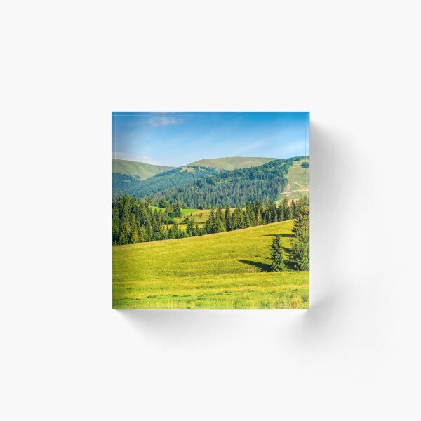 spruce forest in summer landscape Acrylic Block