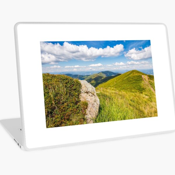 meadow with boulders in Carpathian mountains in summer Laptop Skin