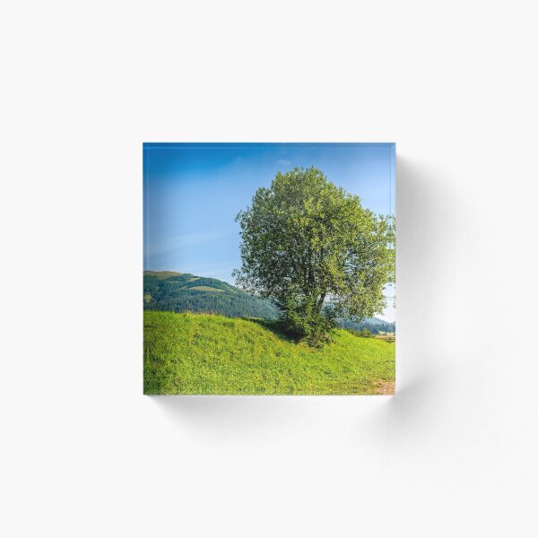 tree in rural area on beautiful summer day Acrylic Block