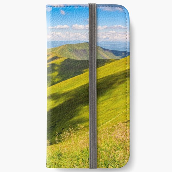 grassy hillside on mountain in summer iPhone Wallet