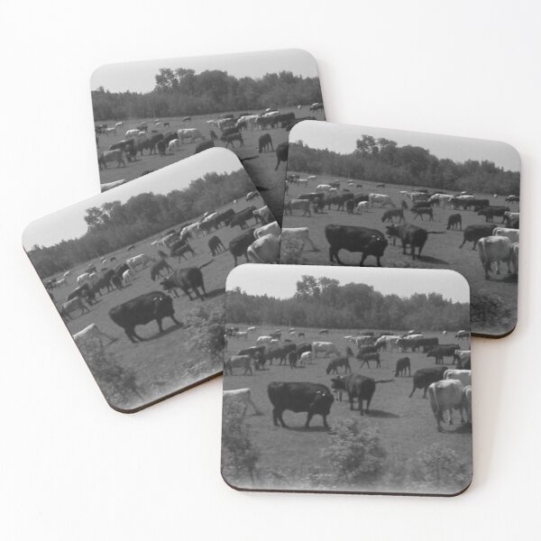 Item preview, Cows Black and White Nova Scotia Photo designed and sold by DianeBP.