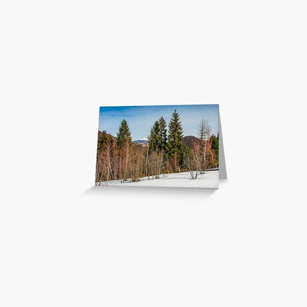 spring has sprung in mountain forest Greeting Card