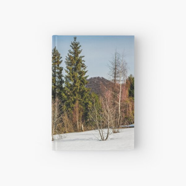 spring has sprung in mountain forest Hardcover Journal