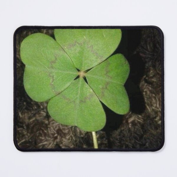 Item preview, Oxalis (Shamrocks) designed and sold by BellsPainting.