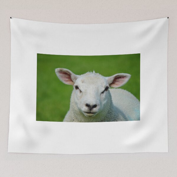 Item preview, Oveja designed and sold by farmbrough.