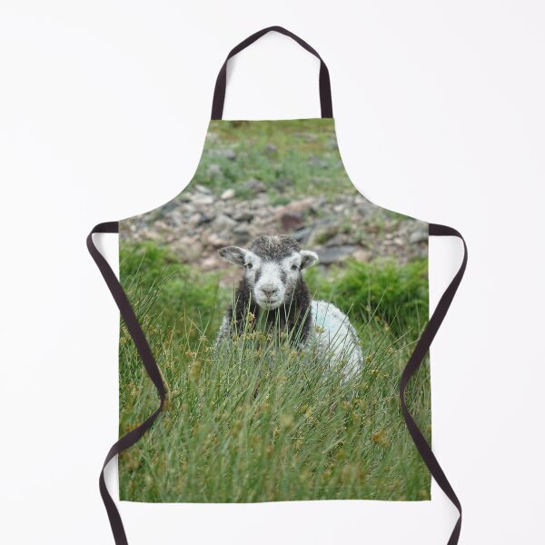 Item preview, Lake District Herdwick Sheep designed and sold by Sticker-Lab.