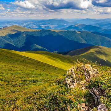 Artwork thumbnail, meadow with boulders in Carpathian mountains in summer by mike-pellinni