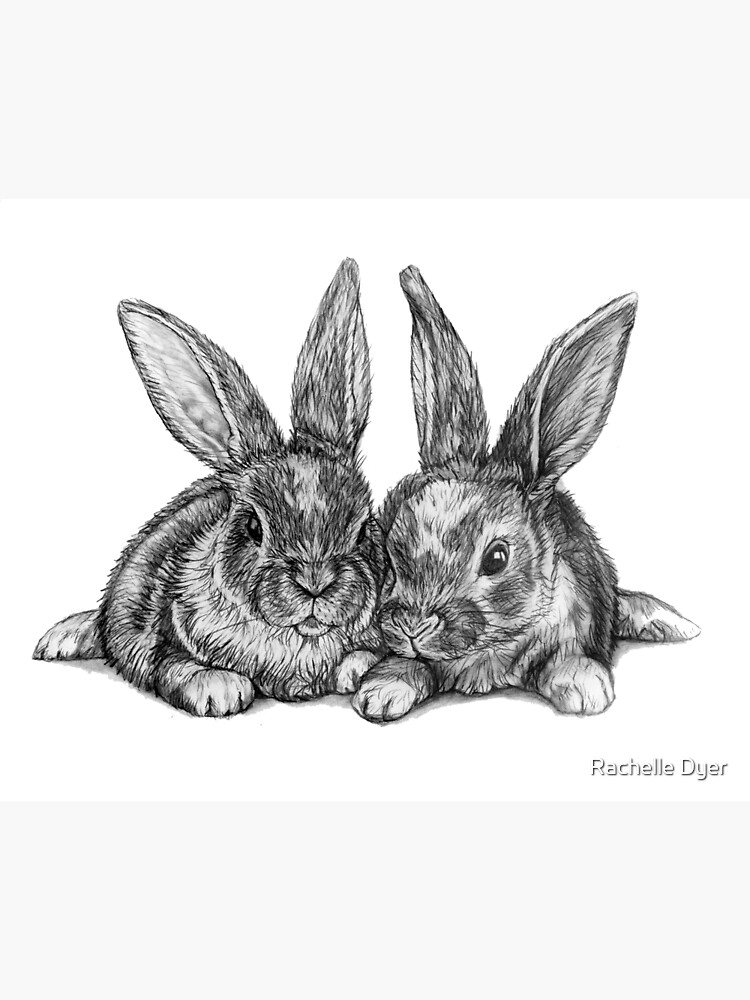 Rabbit Sketch | Rabbit drawing, Bunny art, Rabbit art