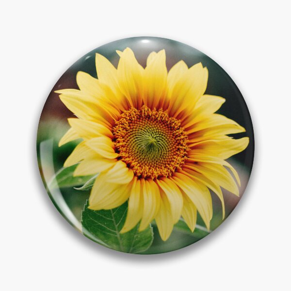 Item preview, FLORA #7 – Burst of Bright Yellow Sunflower Petals designed and sold by DEL-Productions.