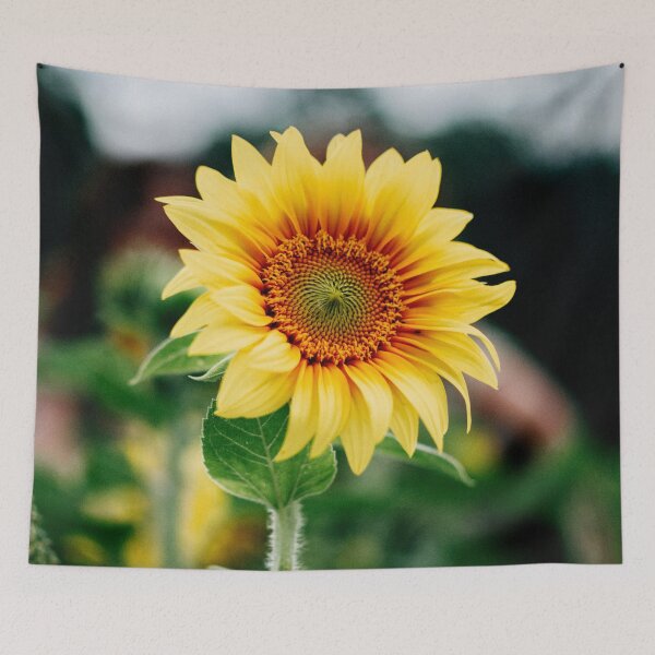 Item preview, FLORA #7 – Burst of Bright Yellow Sunflower Petals designed and sold by DEL-Productions.