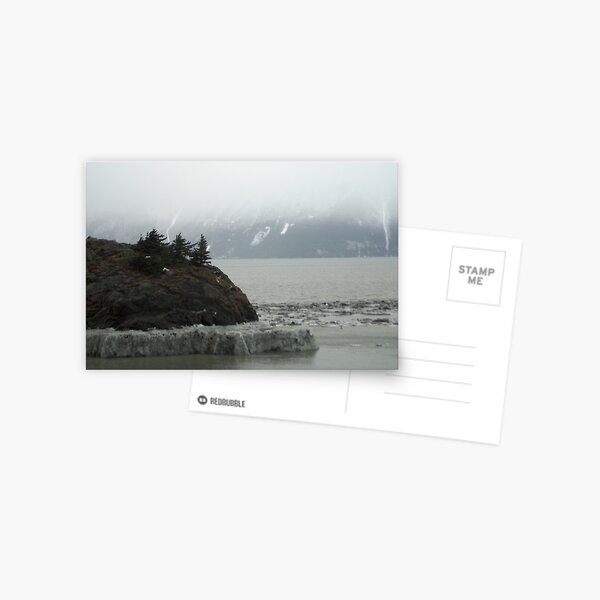 Iced High Tide Mark Postcard
