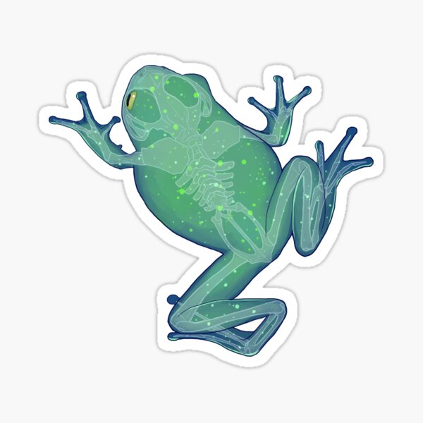 Constellation frog Sticker
