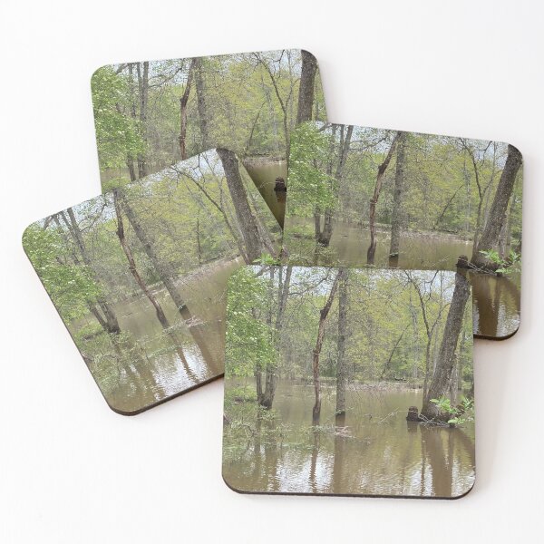 Item preview, Flooded Forest 2 designed and sold by CJRPics.