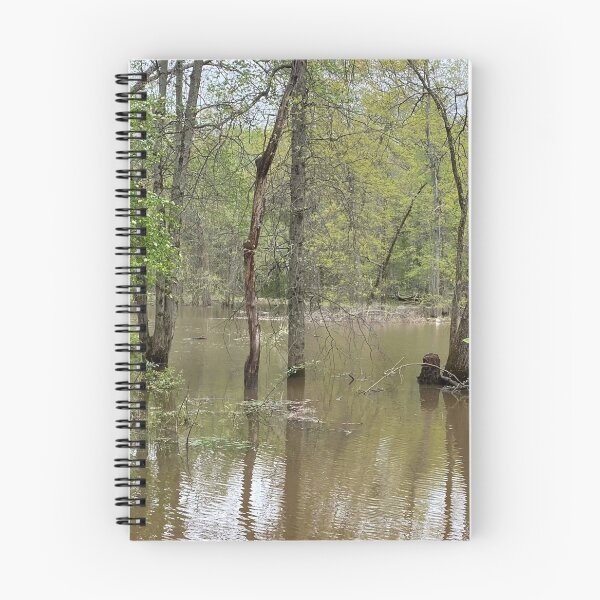Item preview, Flooded Forest 2 designed and sold by CJRPics.