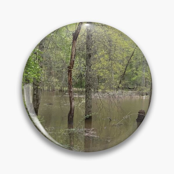 Item preview, Flooded Forest 2 designed and sold by CJRPics.
