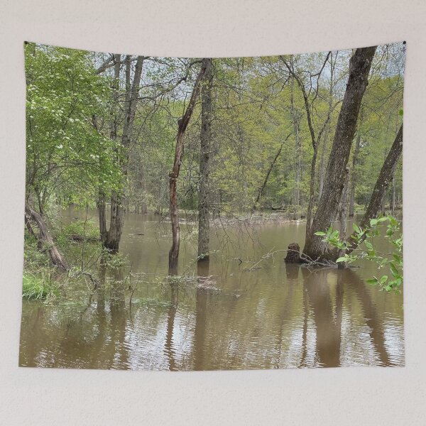 Item preview, Flooded Forest 2 designed and sold by CJRPics.