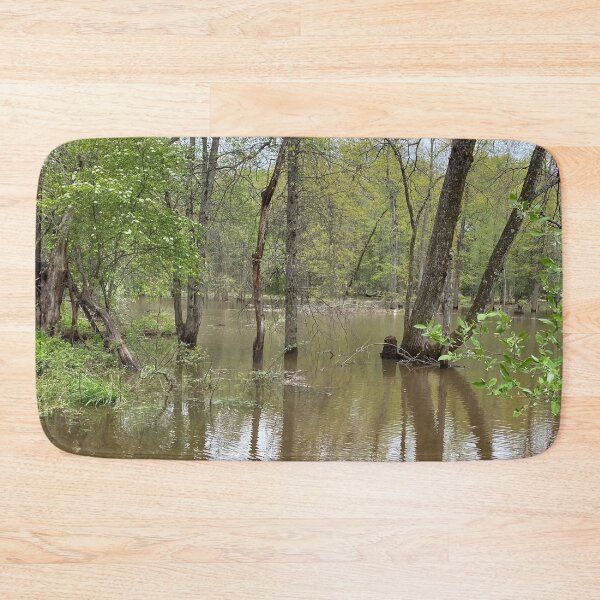 Item preview, Flooded Forest 2 designed and sold by CJRPics.