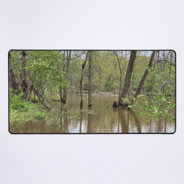 Item preview, Flooded Forest 2 designed and sold by CJRPics.
