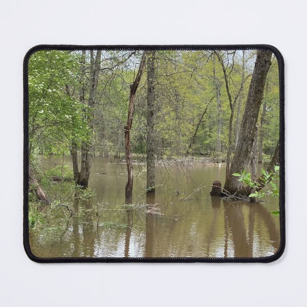 Item preview, Flooded Forest 2 designed and sold by CJRPics.
