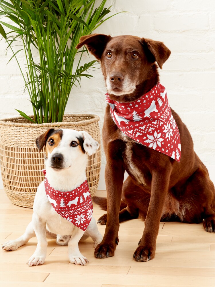 Border Collie Silhouettes Red and White Christmas Holiday Pattern Pet Bandana for Sale by Jenn Inashvili Redbubble