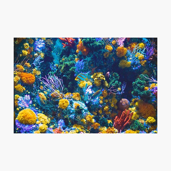 Item preview, Underwater Ocean Aquarium, Coral Reef designed and sold by newburyboutique.