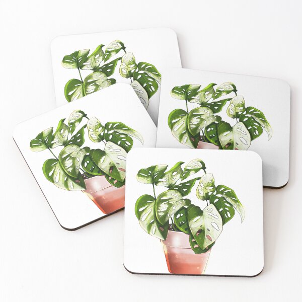 Item preview, Monstera adansonii variegata, rarity, plantparents, plantlady, plantdad, potted plant designed and sold by wearequiethuman.