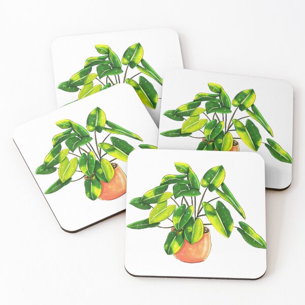 Item preview, Philodendron Burle marx variegata, houseplant, rarity, plantlady, plantdad designed and sold by wearequiethuman.